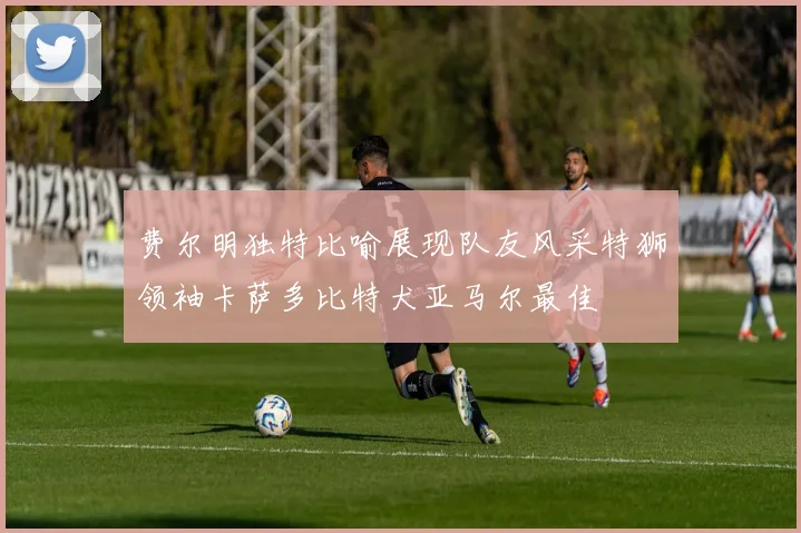 费尔明独特比喻展现队友风采特狮领袖卡萨多比特犬亚马尔最佳