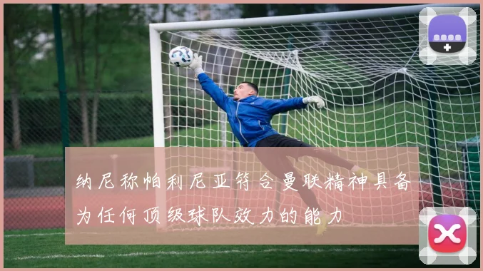 纳尼称帕利尼亚符合曼联精神具备为任何顶级球队效力的能力