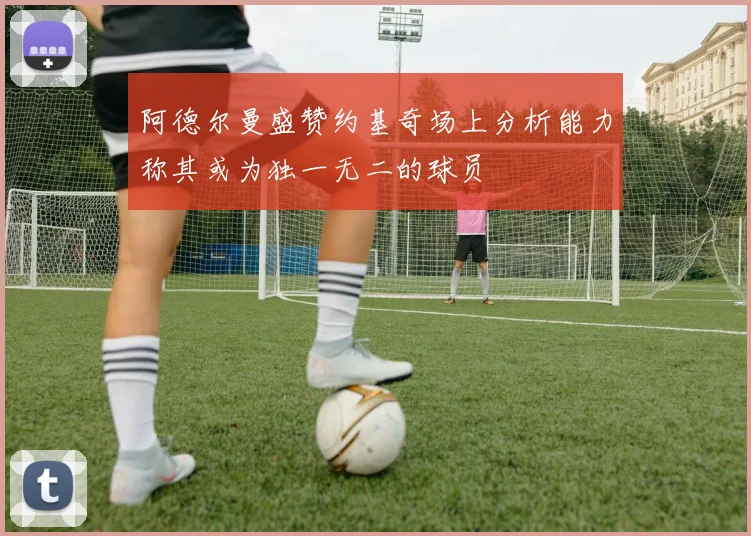 阿德尔曼盛赞约基奇场上分析能力称其或为独一无二的球员