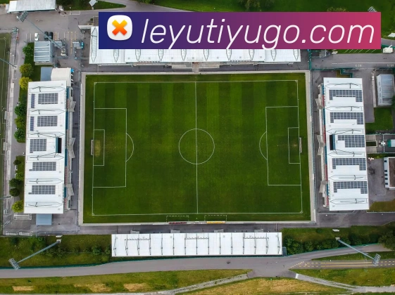 乐鱼体育发展历程