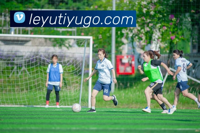 国米球迷放烟花意外炸伤手指或导致球队面临罚款及北看台关闭风险