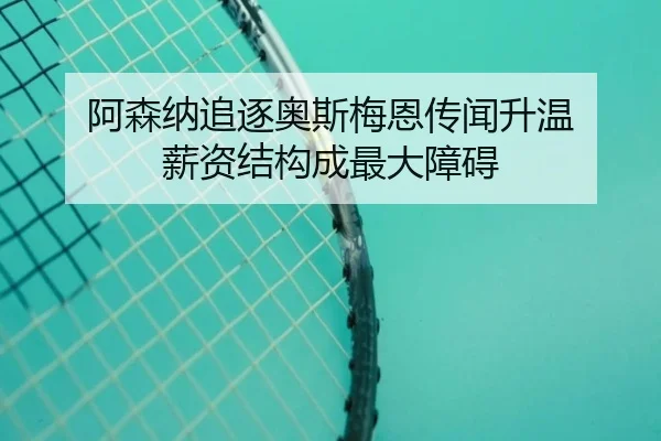 阿森纳追逐奥斯梅恩传闻升温 薪资结构成最大障碍（Leyu）